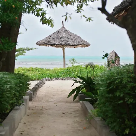 Oasis Beach Hotel Jambiani